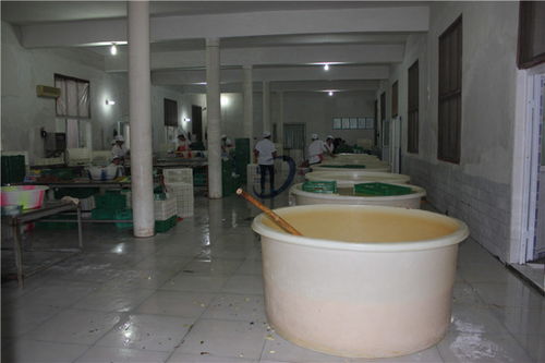 【沙坪壩區蜜餞腌制桶生產廠家】- 