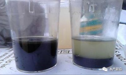 快速分解底泥,降氨氮 亞鹽,這種超高活性礦物質(zhì)產(chǎn)品到底什么來頭